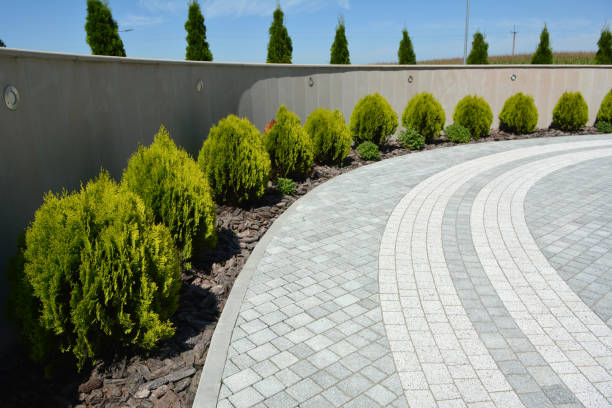 Best Residential Driveway Paver Services  in Cozad, NE